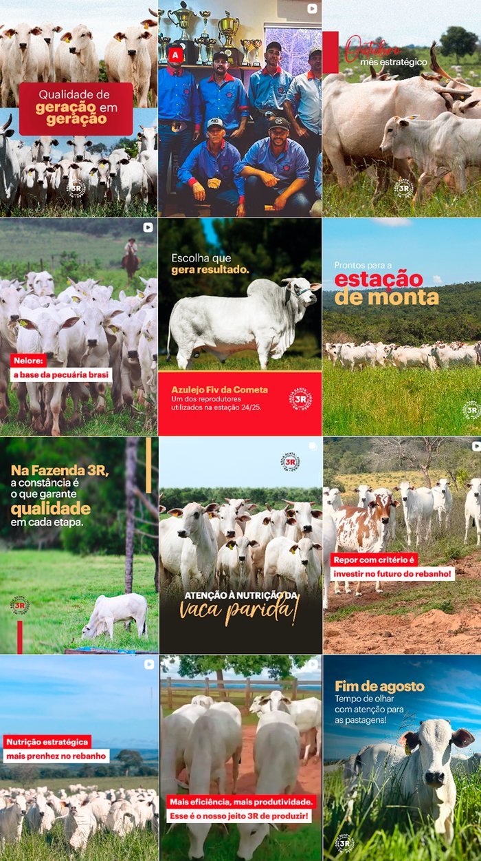 Feed do Instagram criado para a Fazenda 3R
